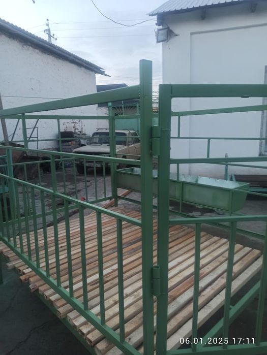 Евро кой кора заманға сай