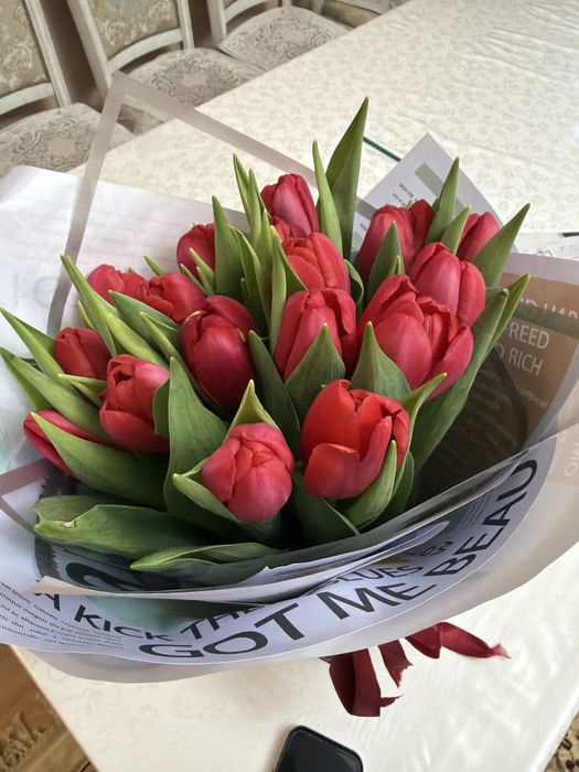 Тюльпаны 17 шт свежие
