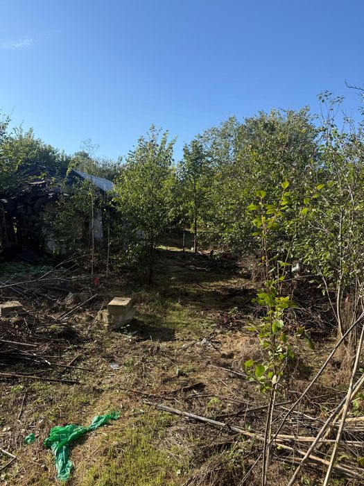 Vând teren intravilan 1000 mp Com Iepuresti, jud Giurgiu