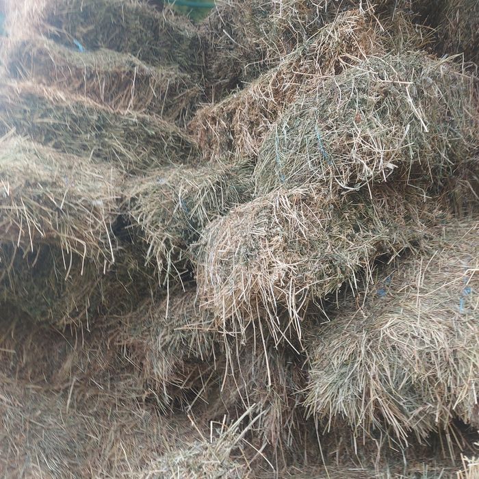 Vând baloti mari și mici