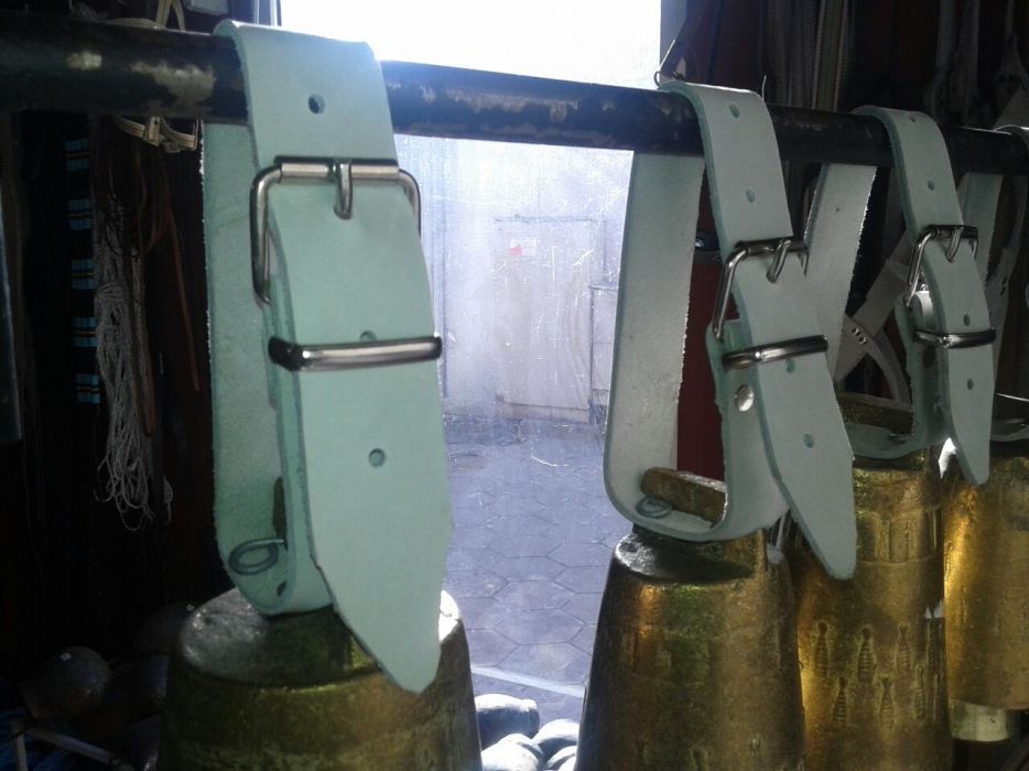 Чанове , клумбараци