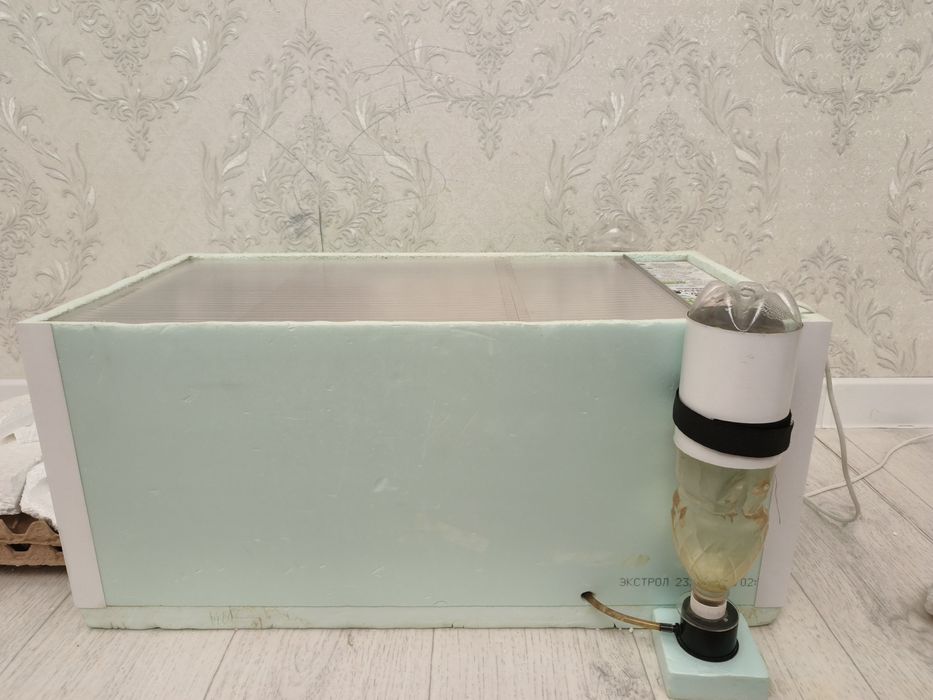 Инкубатор Матрица Дели