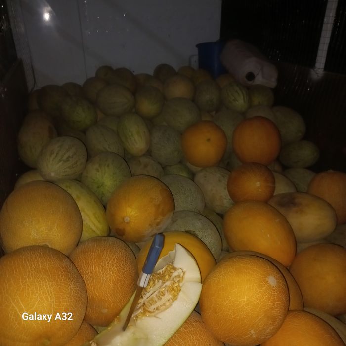 Лабо сатылады 1 тонаға дейін котереді