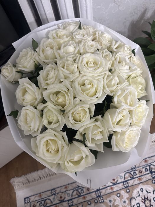 Продам цветы роза свежие