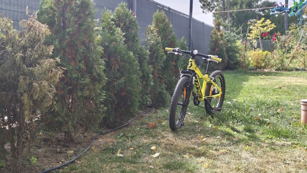 Bicicleta Scott scale 20 inch