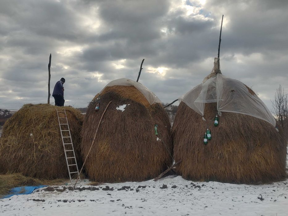 Vand 2 stoguri de fan