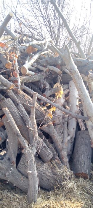 O'tin sotilade ho'l quruq aralash zaldore chinor tut o'tinlar katta ka