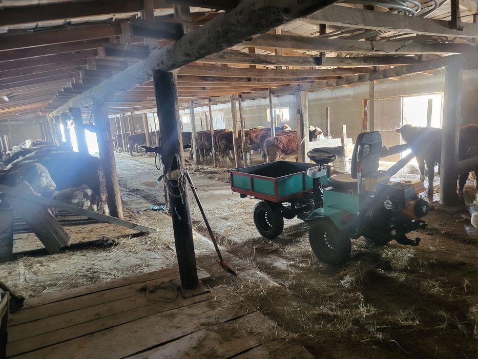 Продам самодельный мт 16