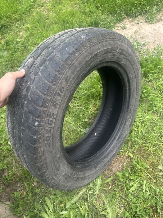 Газель балон буу