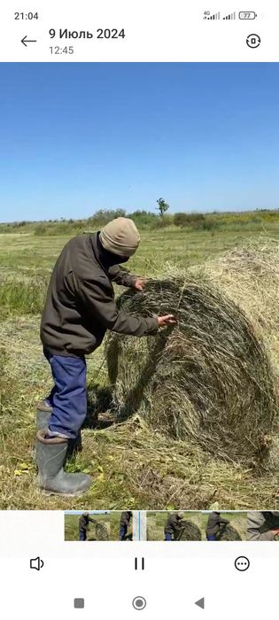 Продажа сено разнотравье