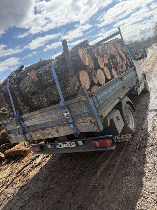 Lemn de foc  esenta tare