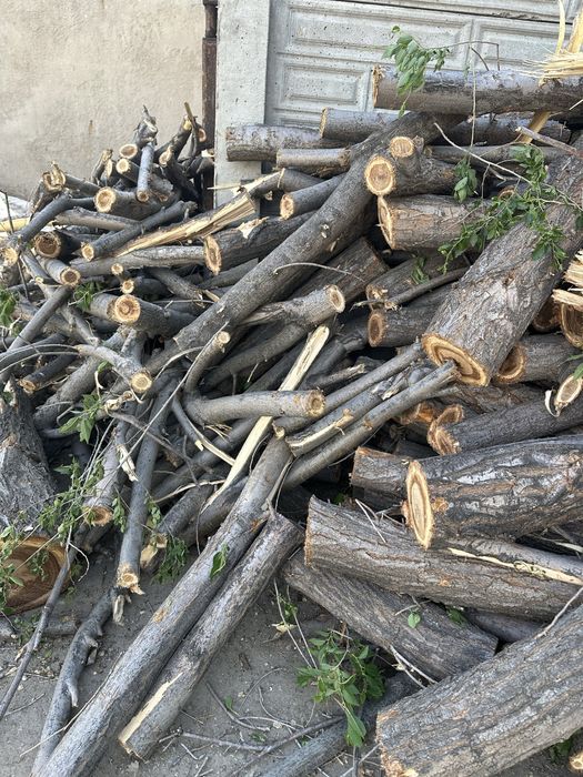 Продам дрова карагача 15 тыс, самовывоз, адрес Елек 3 а