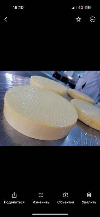 Продается готовый бизнес СЫРОВАРНЯ