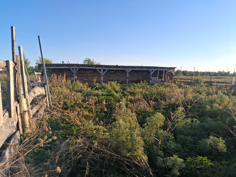 Продам ферму для разведения скота