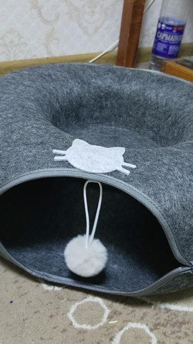 ДОЯ КОТА домикккк