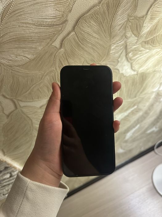 Ipnone 12pro max