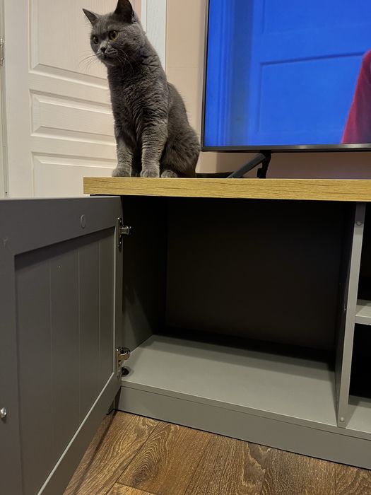 ТВ шкаф MARKSKEL 2 врати