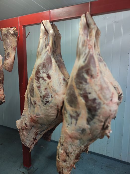 Мясо Ляжки Говядины,