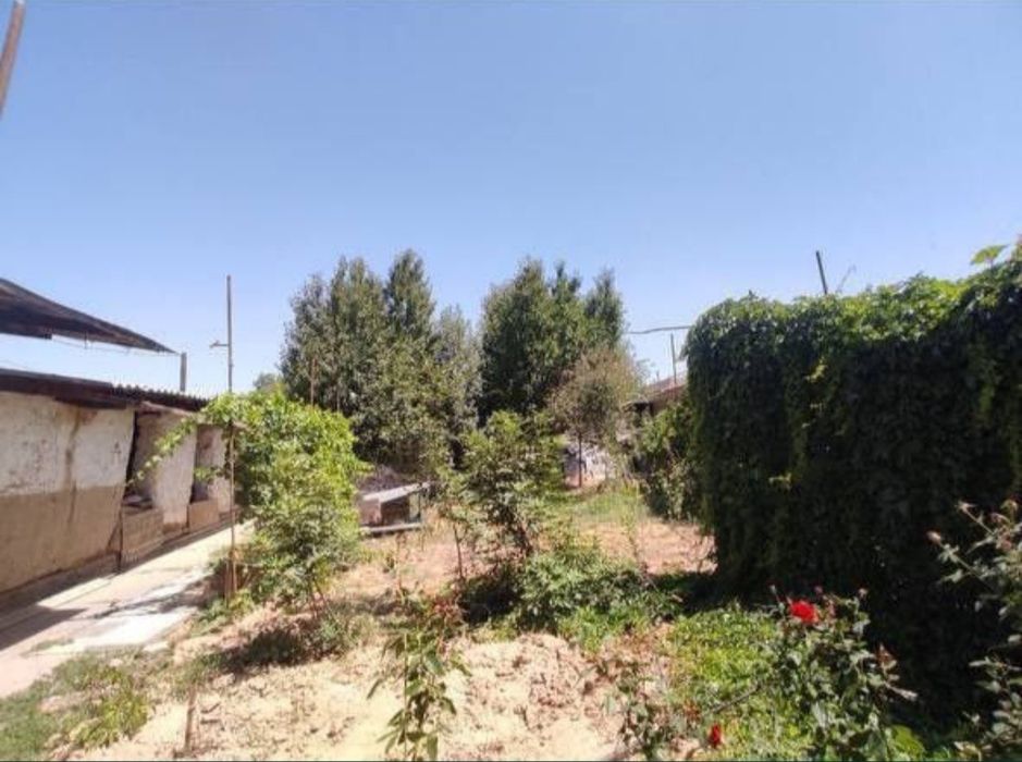 Yer sotiladi nazabekda 2,5sotix