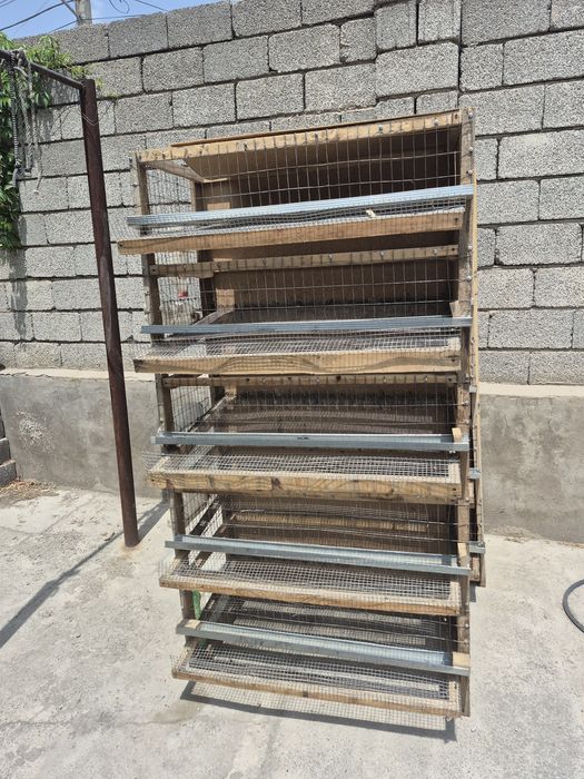 Бодене балапан клеткасы