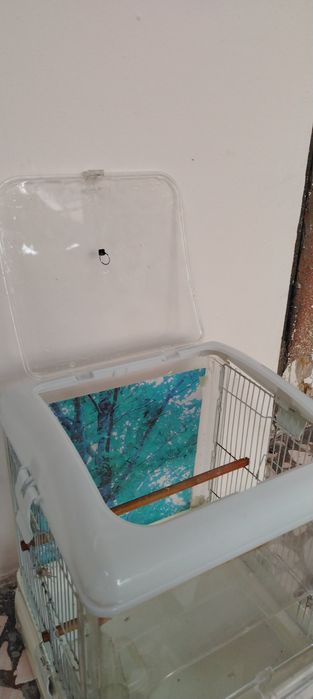 клетка импортный