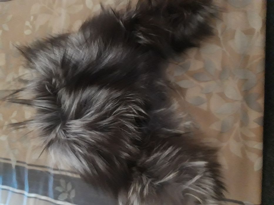 Продам в отличном состоянии шапки