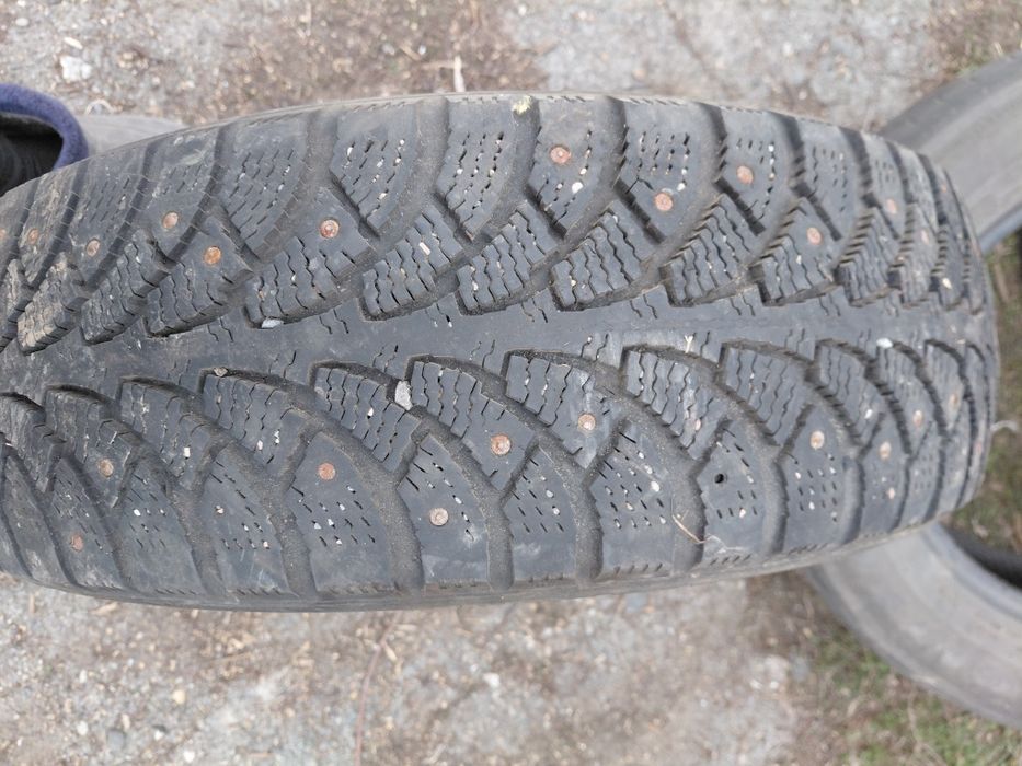 Продам шину шипованная