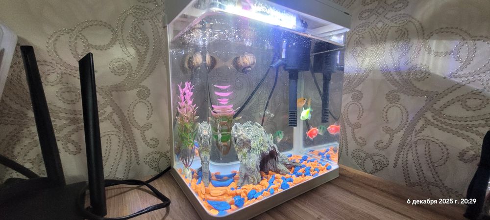 Продам аквариум с рыбками.