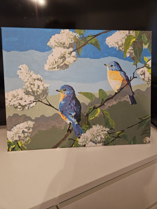 Tablouri pictate pe panza cu acuarele acrilice acrilice