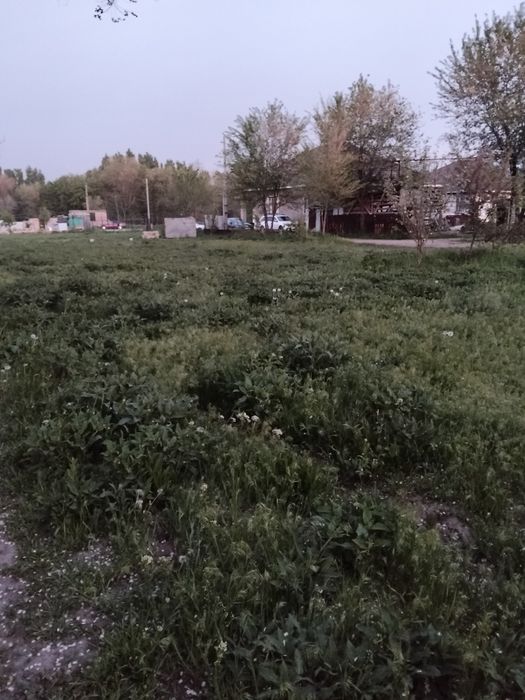 Участок в селе Батан