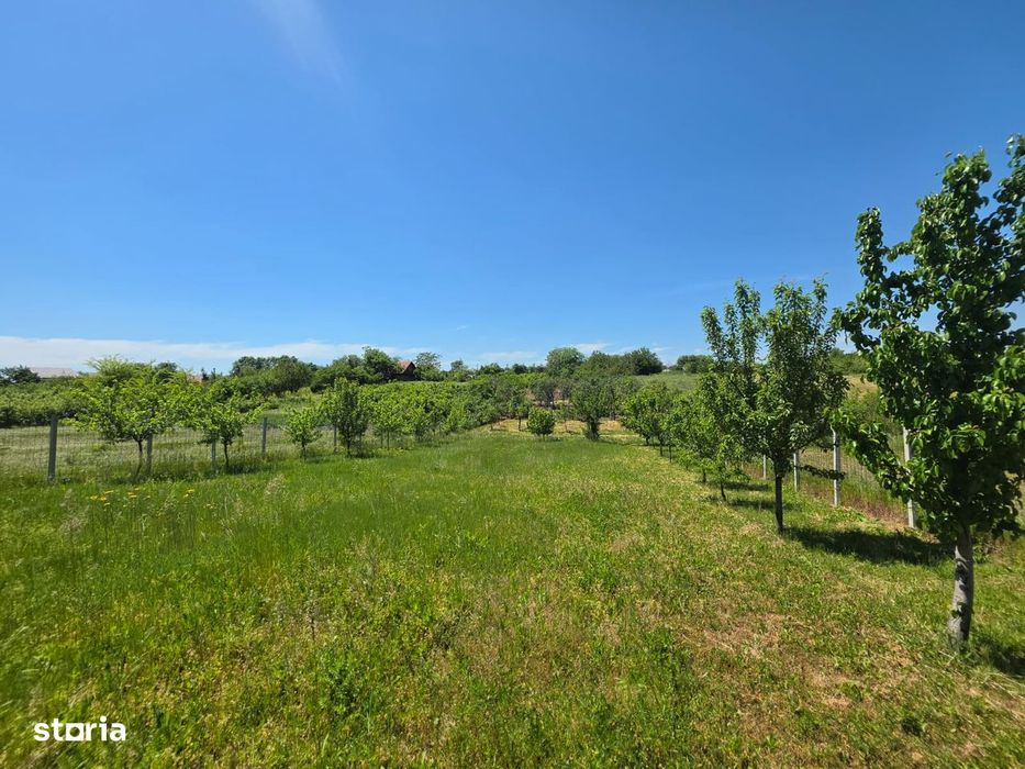 Teren cu livada perfect pentru CASA - 1.200 MP Sat Varlaam, Giurgiu