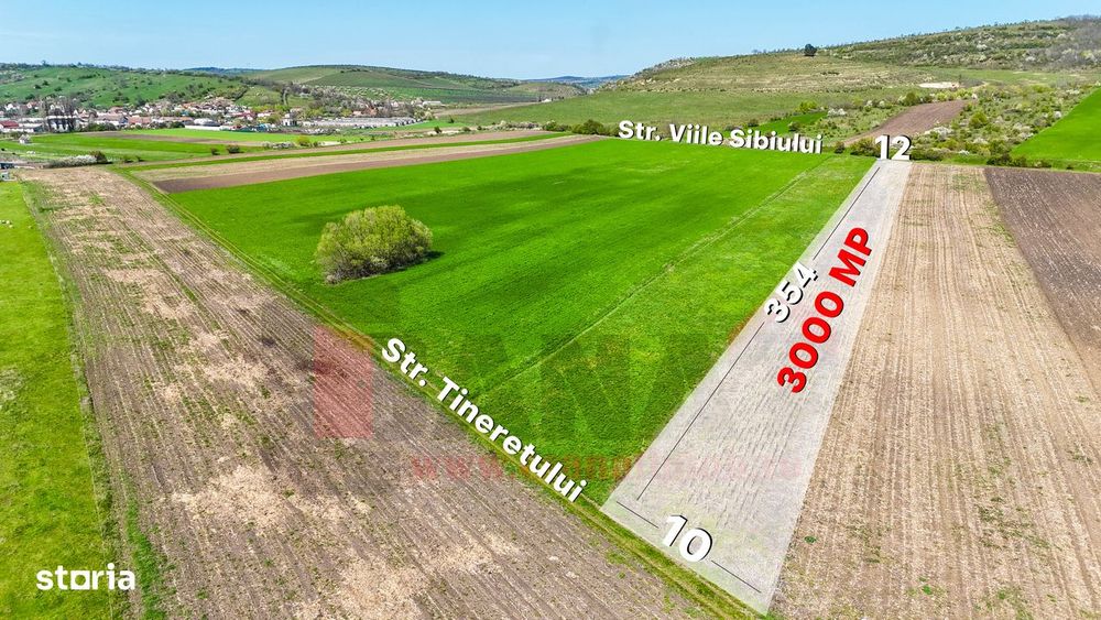 Teren 3000 MP | Gusterita - Viile Sibiului| Vedere Deosebita |SkyVideo