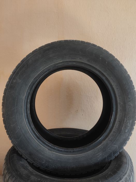 Зимние шины Triangle 195/65R15