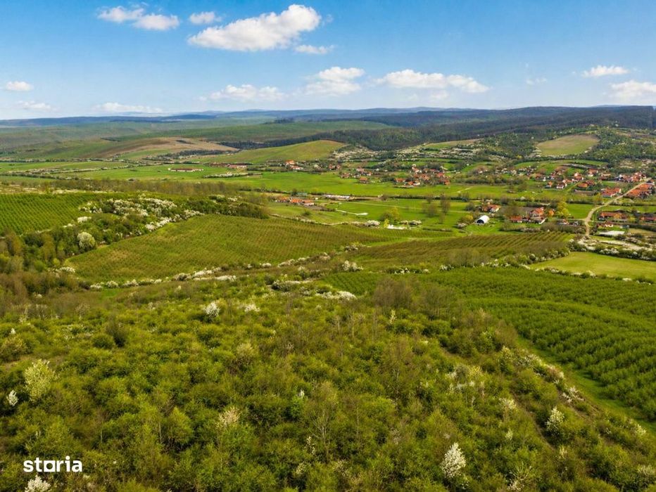 Teren 20 ha vestul Romaniei – ideal plantatie aluni / livada