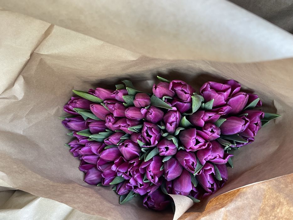 Тюльпан цветы луковицы