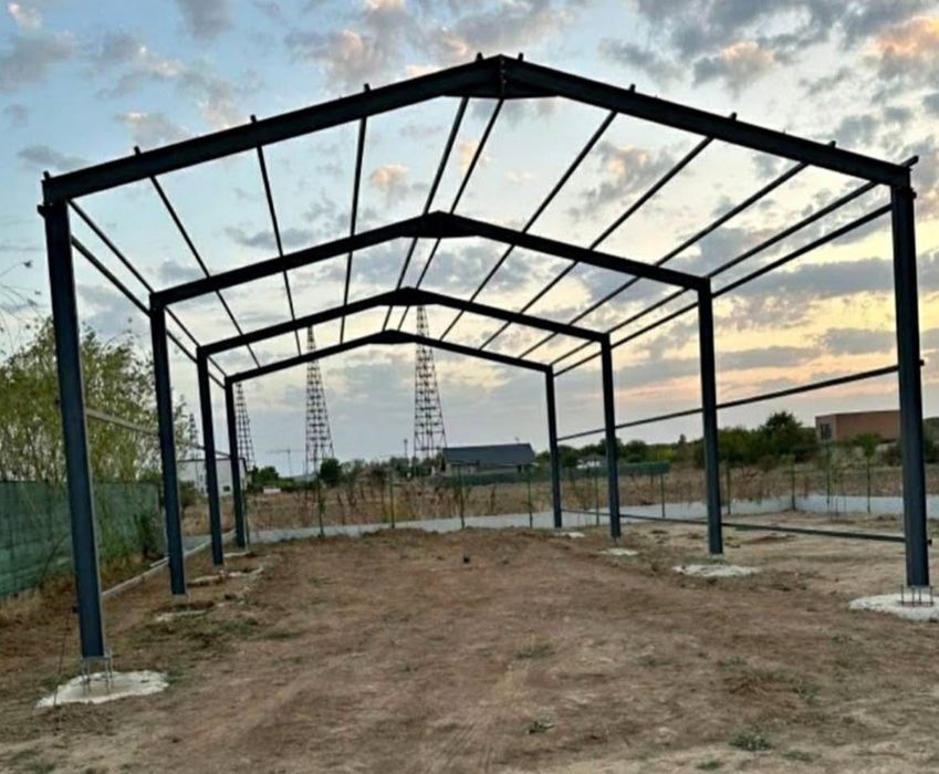 Accept variante auto Vand si construiesc o gama larga de hale sau stru