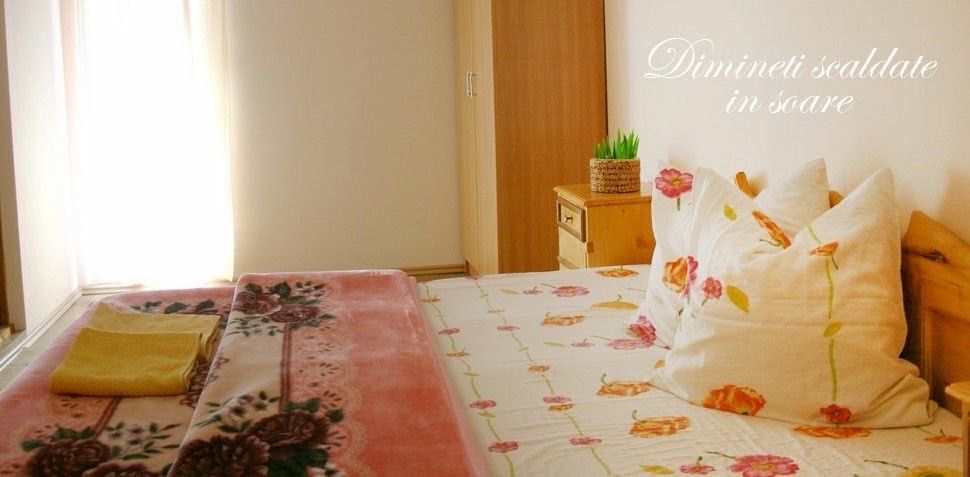 Vand vila in Fundata, Brașov – pensiune / casă de vacanță