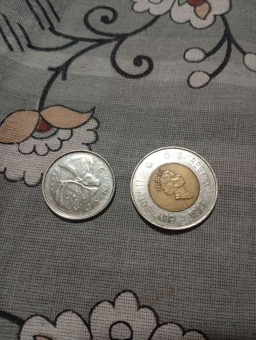 De colecție este monedele/ le vând până pe data de 20 decembrie