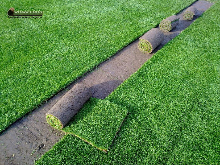 Gazon rulou, insamantare, vand si montez.
