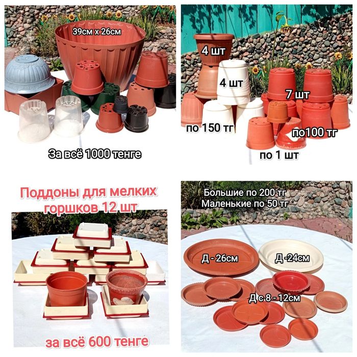 Цветы цветы цветы