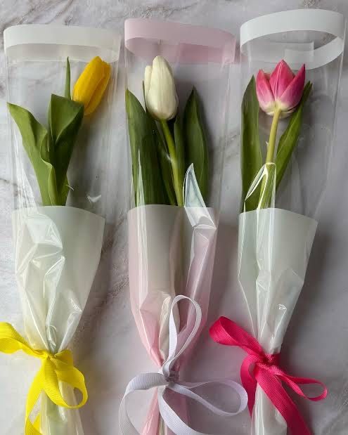 Продам тюлпаны предзаказ