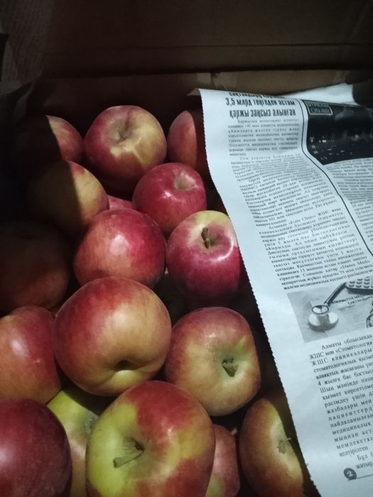 Продам горный яблоки