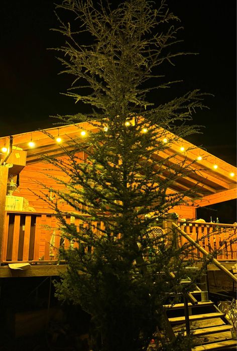 angren yangi obodda dachami sotaman