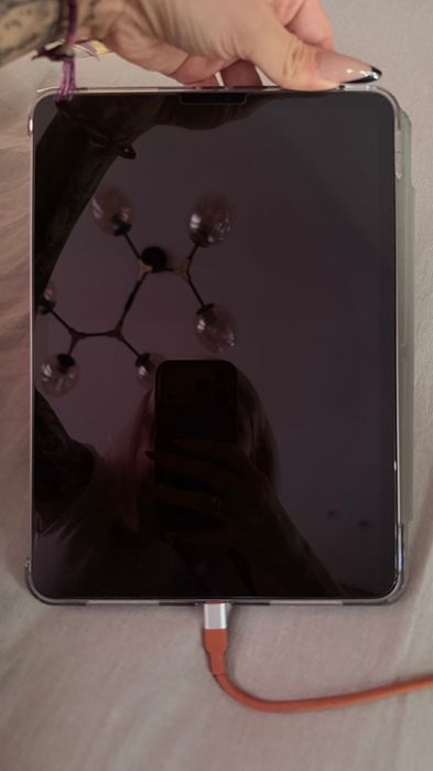 iPad Pro 11 4th generation 100% аккумулятор