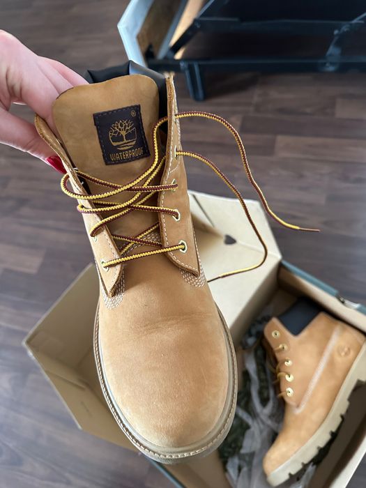 Bocanci Timberland