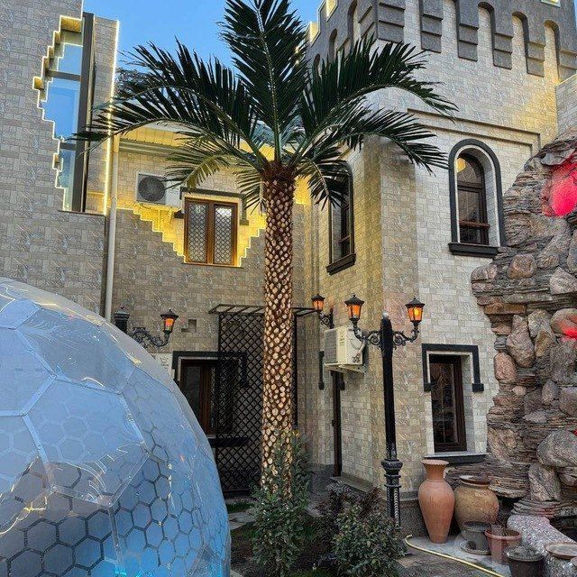 Navoiy | Hovli dizayni uchun suniy palma 3-8m skidka -33%