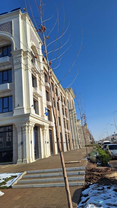 Янги Узбекистан — 1-комн квартира в сданном ЖК со скидкой −30% [KS]