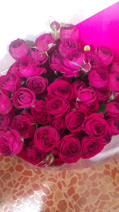 Метровые кустовые розы