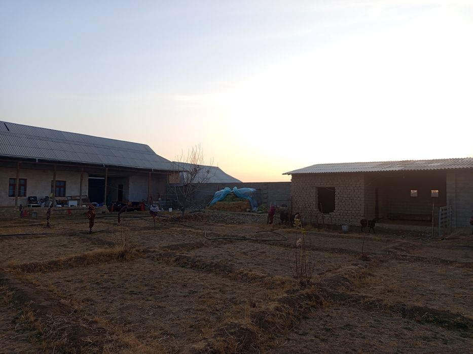 Xovli Sotiladi 18 sotix