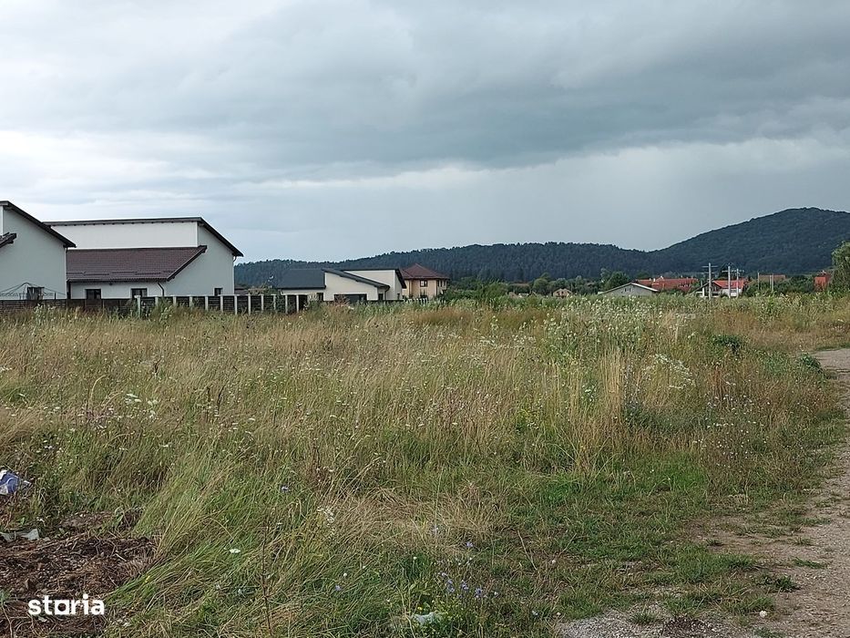 Teren Sanpetru Cartier Primaverii George Cosbuc zona de case